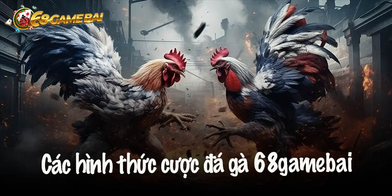 Các hình thức cược đá gà 68gamebai